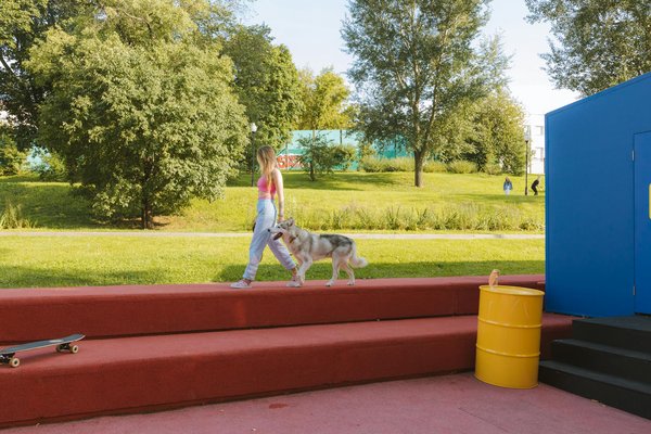 Faire cohabiter un chat et un chien : conseils de dressage